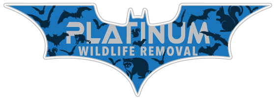 Wildlife Removal Fountain County