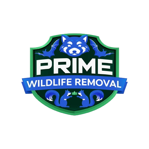Wildlife Removal Fountain County